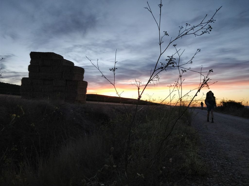 Camino Frances day 6: Los Arcos to Logroño&nbsp;(27,8km)