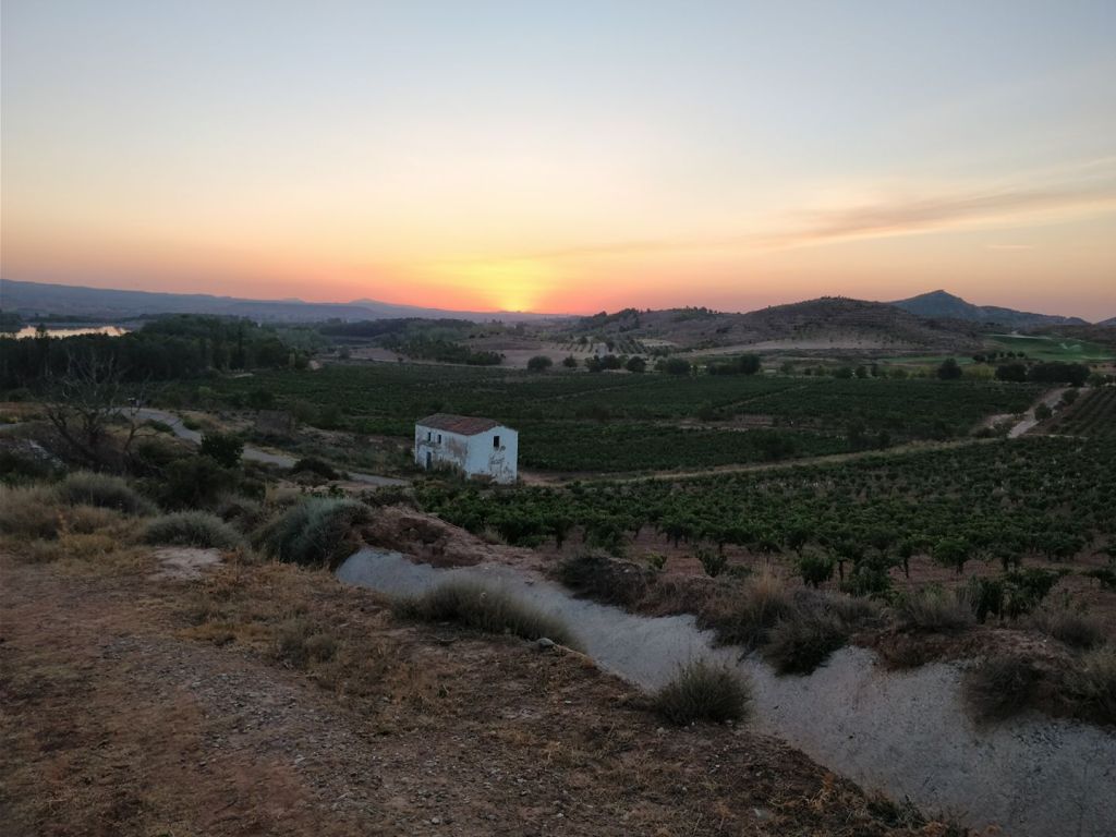 Day 7: Logroño to Nájera (29,6km)