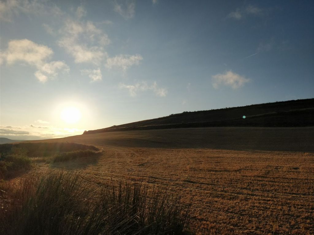 Camino Frances day 12: Tardajoz to Castrojeriz&nbsp;(29,5km)