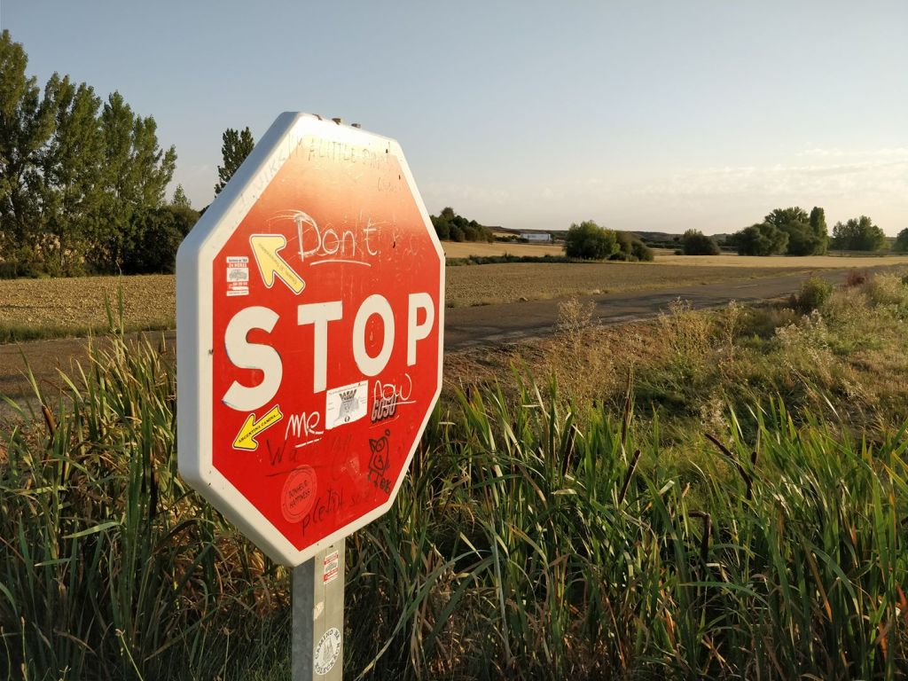 Camino Frances day 15: Calzadilla de la Cueza to Sahagún&nbsp;(22,6km)