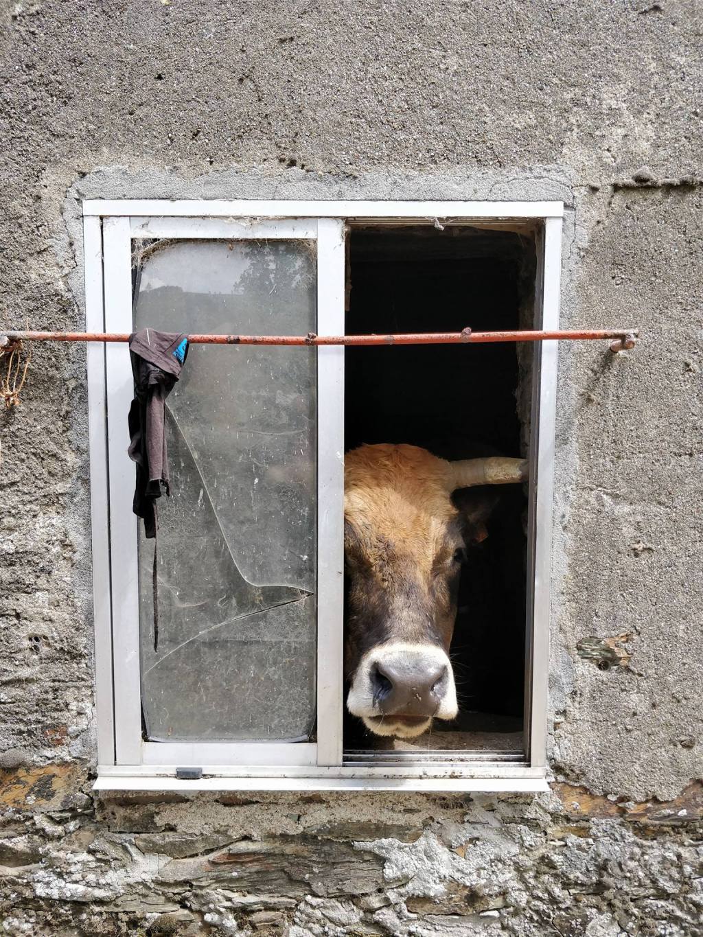 Camino Frances day 22: Villafranca del Bierzo to O Cebreiro&nbsp;(28,4km)