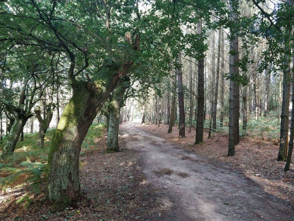 Camino Frances day 25: Ferreiros to Palas de Rei&nbsp;(34,3km)