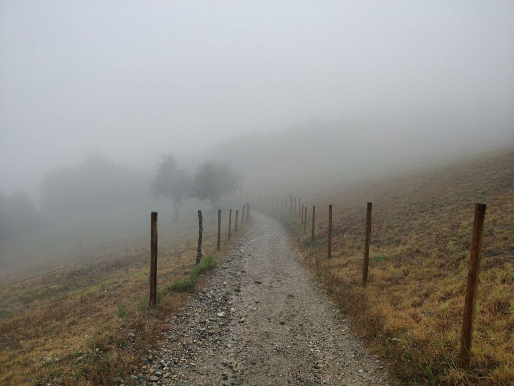 Camino Frances day 23: O Cebreiro to A Balsa&nbsp;(23,4km)