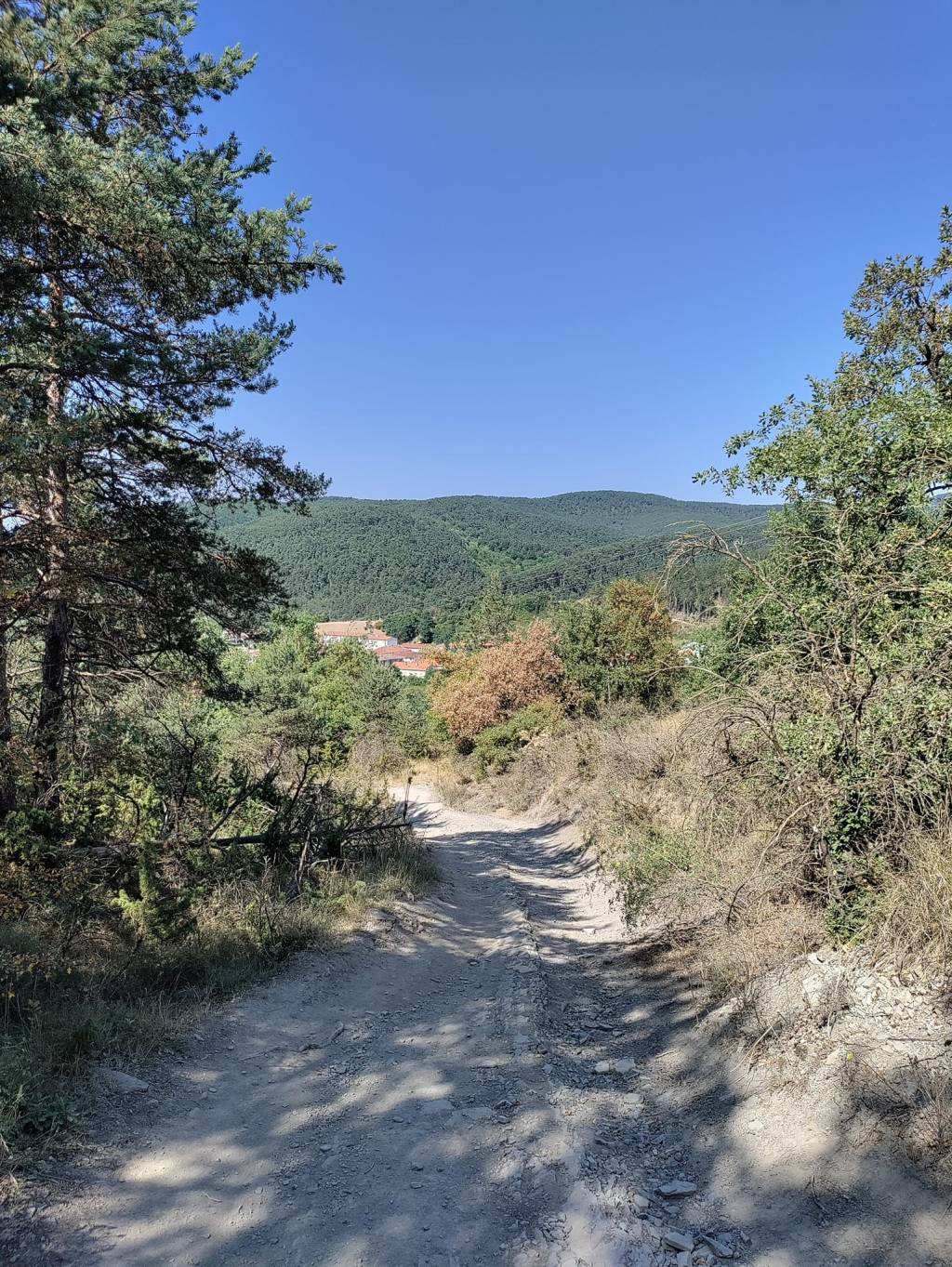 Camino Frances day 2: Burguete to Zabaldika&nbsp;(31,08km)