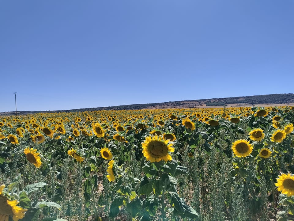 Camino Frances day 9: Belorado to Atapuerca&nbsp;(30,5km)
