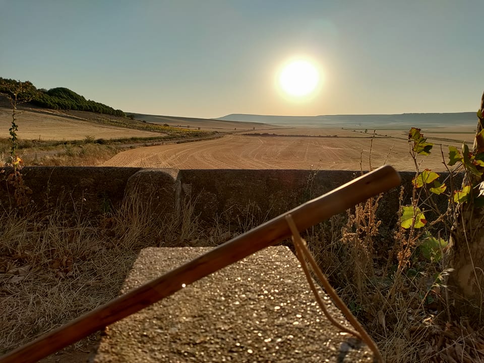 Camino Frances day 12: Hontanas to Boadilla del Camino&nbsp;(28,39km)