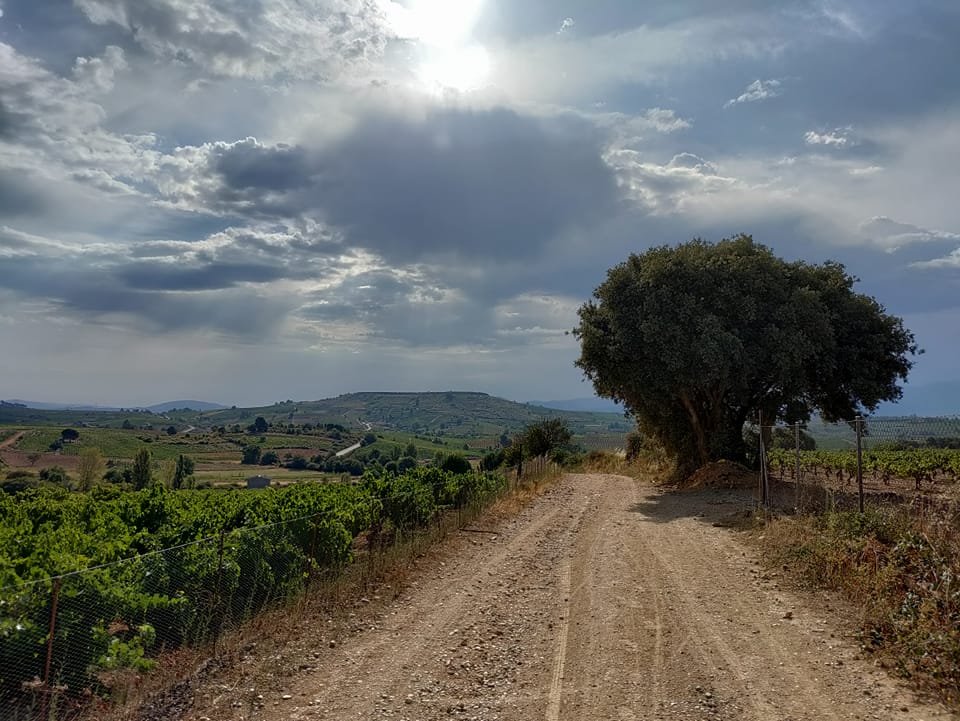 Camino Frances day 20: Molinaseca to Trabadelo&nbsp;(40,54km)