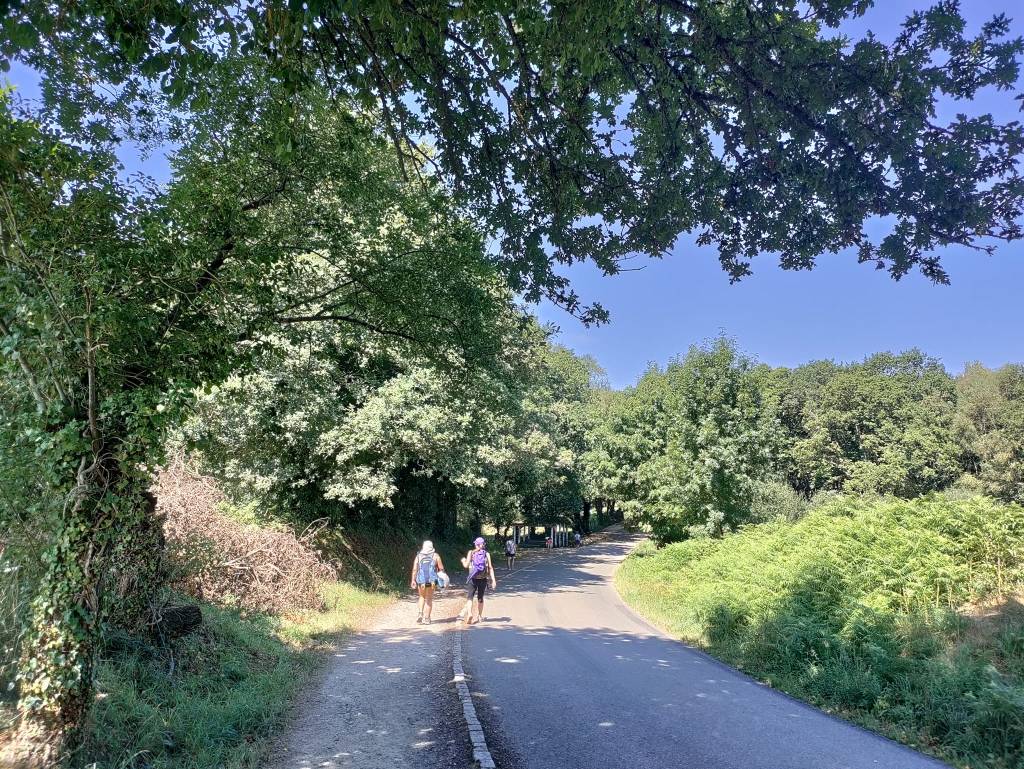 Camino Frances day 23: Mercadoiro to Pontecampaña&nbsp;(34,02km)