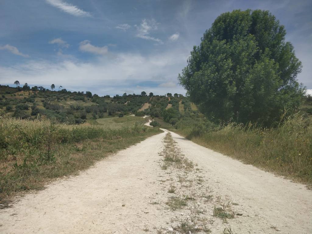 Camino Portugues day 4: Santarem to Amiais de Baixo&nbsp;(28,6km)