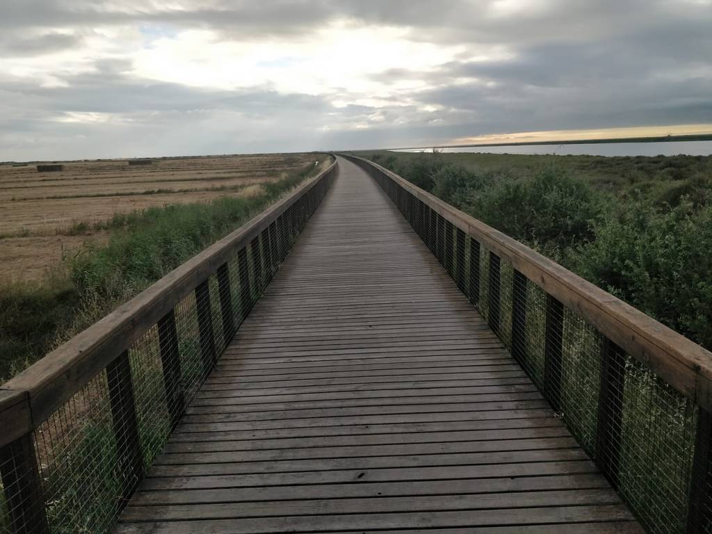 Camino Portugues day 2: Póvoa de Santa Iria to Azambuija&nbsp;(35,6km)