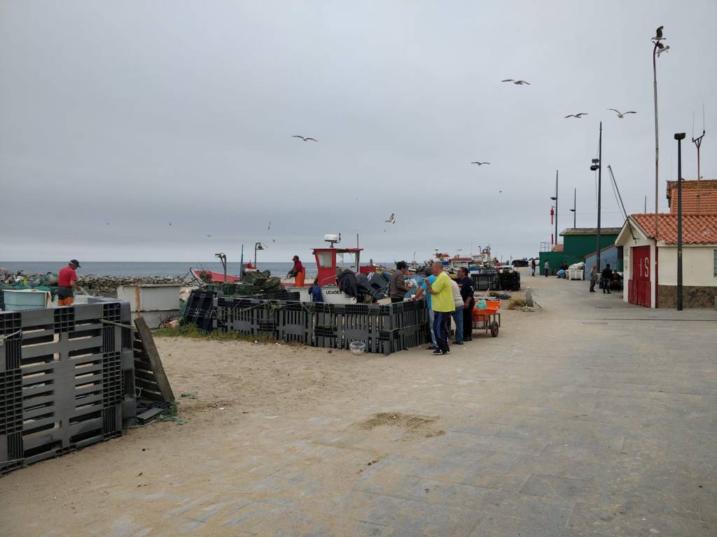 Camino Portugues day 15: Porto to Vila do Conde&nbsp;(26,3km)