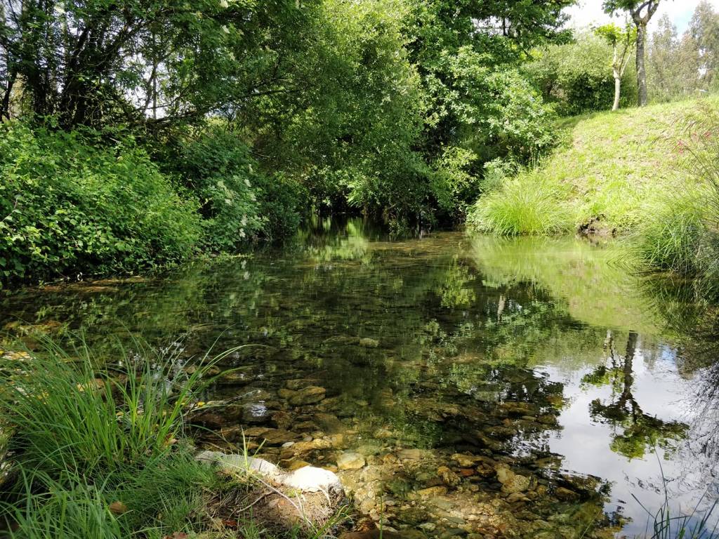 Camino Portugues day 26: Santa Mariña to Hospital (17,8km)