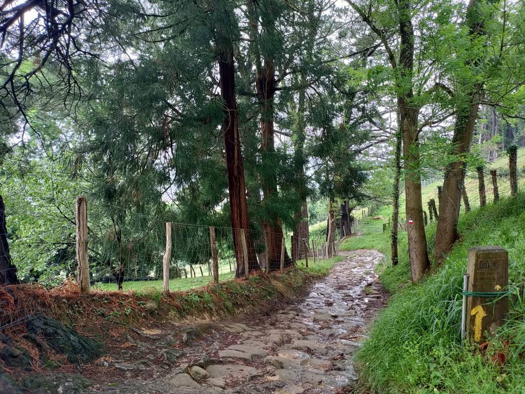 Camino Norte day 2: San Sebastian to Getaria&nbsp;(26.2km)