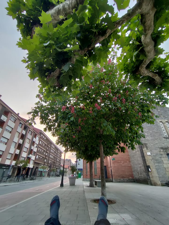 Camino Norte day 20: Avilés to San Esteban&nbsp;(22.0km)