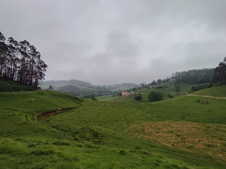 Camino Norte day 19: Oviedo to Avilés&nbsp;(28.7km)