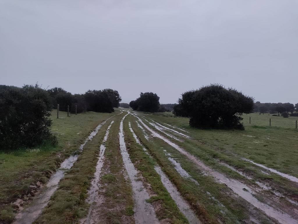 Camino via de la Plata day 16: Fuenterroble de Salvatierra to Morile&nbsp;(29.3km)