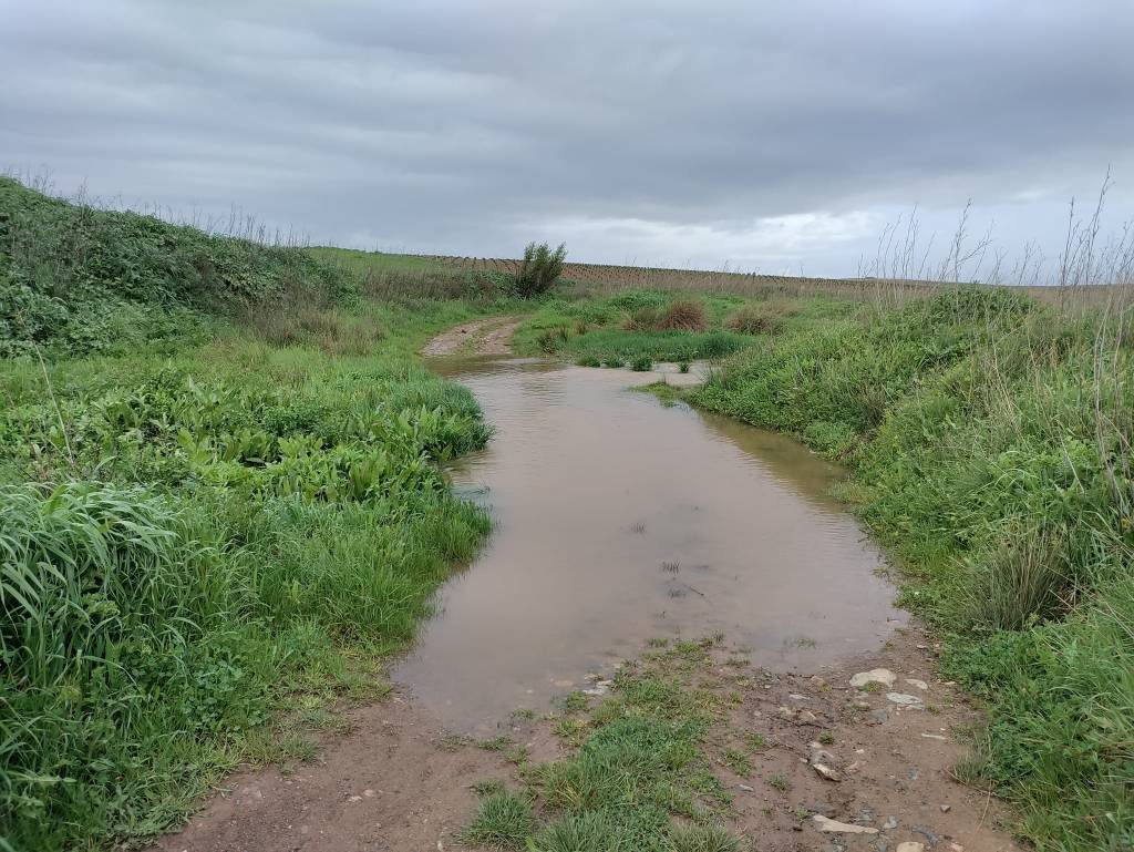 Day 6: Calzadilla de los Barros to Villafranca de los Barros&nbsp;(37.8km)
