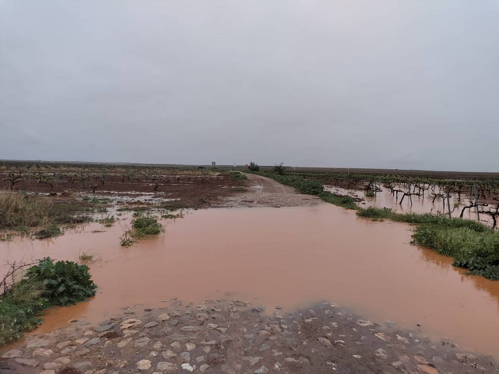 Day 7: Villafranca de los Barros to Almendralejo&nbsp;(18.0km)