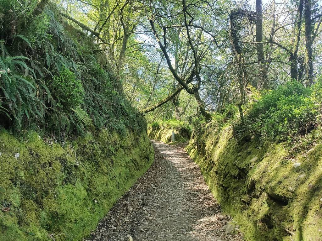 Camino via de la Plata day 25: La Faba to Sarria&nbsp;(42.3km)