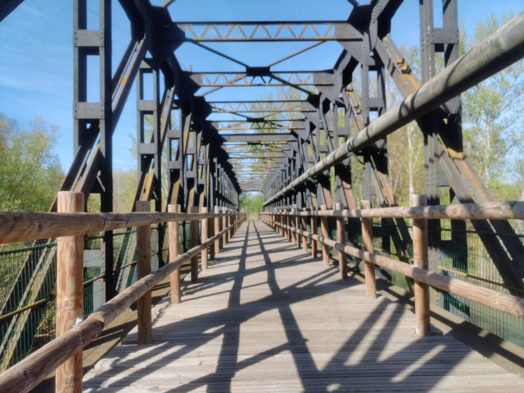 Camino via de la Plata day 20: Granja de Moreruela to Benavente&nbsp;(26.6km)