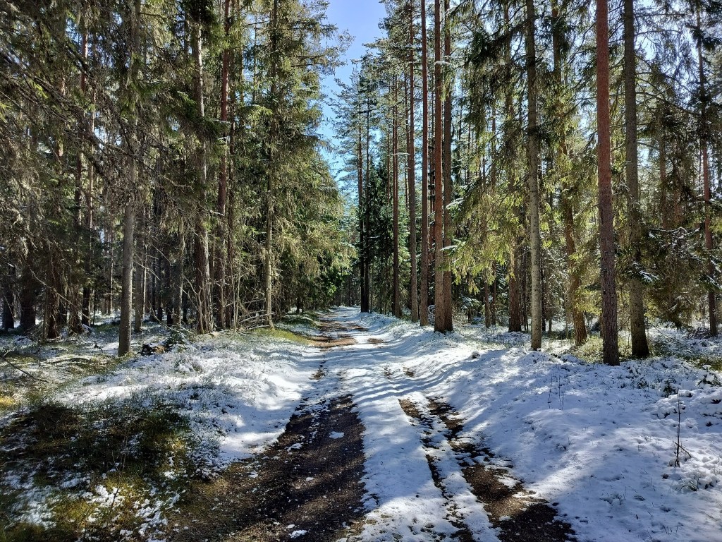 Camino Estonia day 7: Kaguvere – Kivi-Vigala&nbsp;(20km)